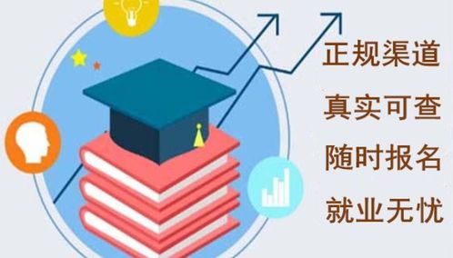 融合傳統與現代 有實力的中醫調理師證書與網絡技術咨詢服務